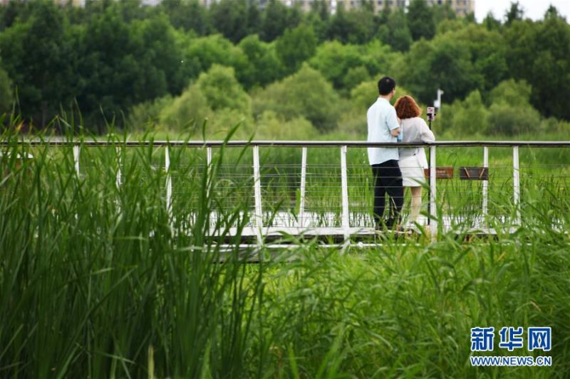 　　6月25日，市民在哈尔滨大剧院附近的湿地公园拍照。 当日是端午节，人们外出游玩，乐享假期。 新华社记者 王建威 摄