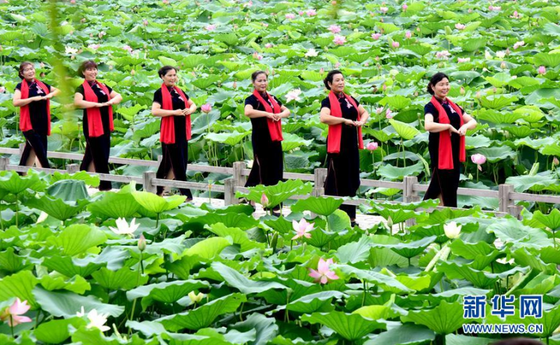 6月27日，郑州“夕阳情俱乐部”的老年朋友在紫荆山公园身着旗袍走秀。 当日是端午假期最后一天，不少游人来到河南郑州紫荆山公园，赏荷度假。 新华社记者朱祥摄