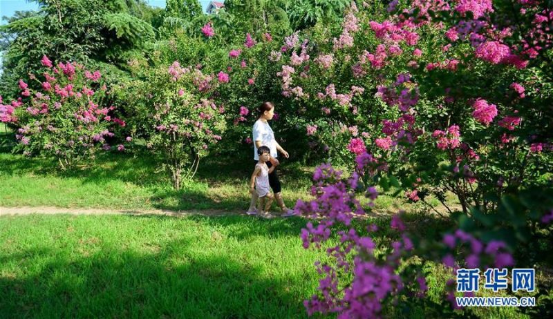 7月26日，村民在栾卸村一处花园游玩。 盛夏，位于太行山区的河北省沙河市栾卸村满目葱茏，山水、田园、民居构成一幅美丽乡村图景。 新华社记者 牟宇 摄