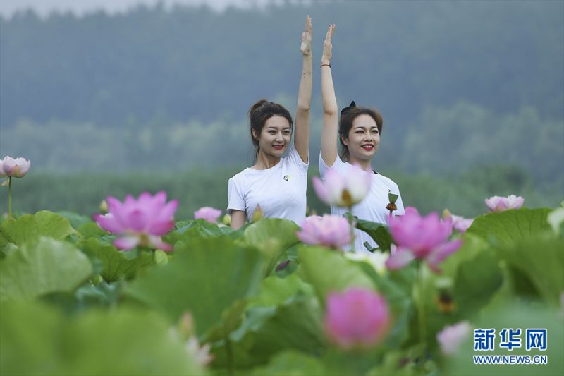 瑜伽爱好者们在运河湿地公园和双龙湖湿地内举行瑜珈展示活动。新华网发（高启民 孔闯 摄）