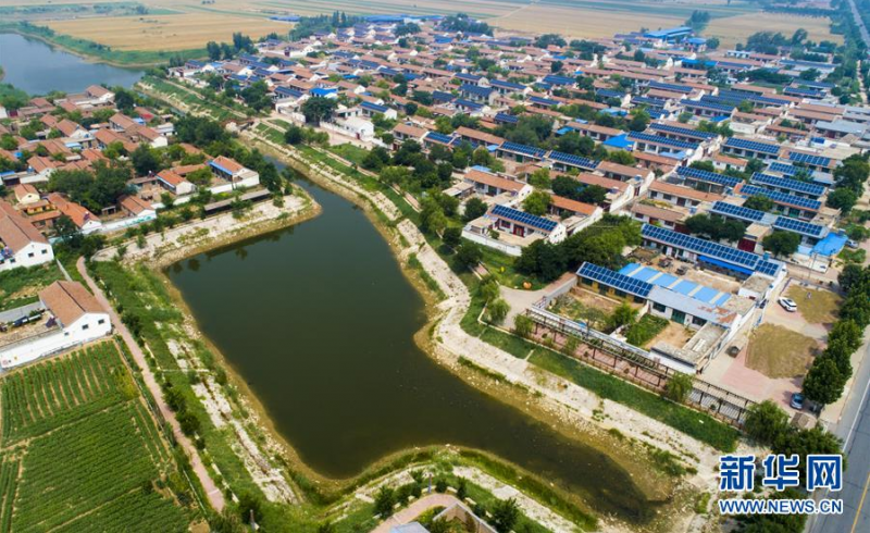 这是6月27日拍摄的河北省故城县郑口镇后响沟村（无人机照片）。新华社记者 李晓果 摄
