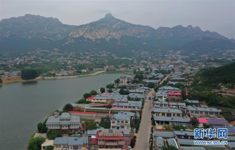 7月27日拍摄的昌黎县昌黎镇杏树园村景色（无人机照片）。 近年来，河北省昌黎县在建设生态宜居美丽乡村的过程中，推进村容村貌和人居环境改善，结合当地旅游资源走“农旅”融合发展的道路，既绿化美化了家园，又增加了农民的收入，为农村发展注入新活力，助力乡村振兴。 新华社记者 杨世尧 摄