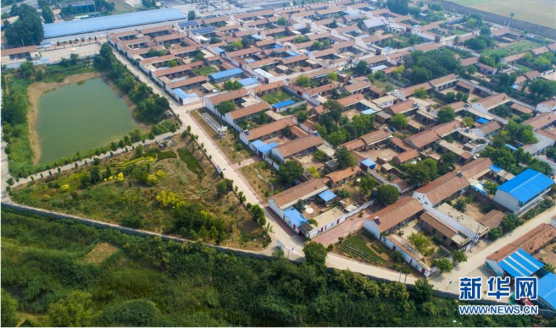 这是6月27日拍摄的河北省故城县故城镇周庄村（无人机照片）。新华社记者 李晓果 摄