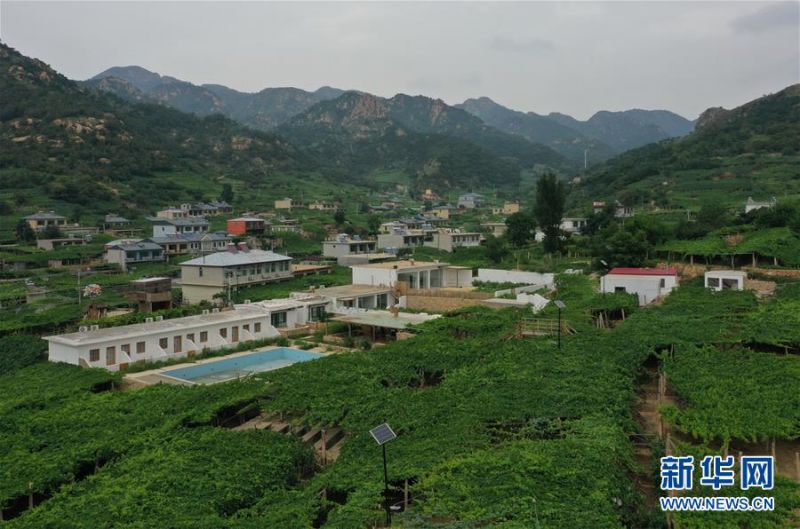 7月27日拍摄的昌黎县十里铺乡西山场村景色（无人机照片）。 近年来，河北省昌黎县在建设生态宜居美丽乡村的过程中，推进村容村貌和人居环境改善，结合当地旅游资源走“农旅”融合发展的道路，既绿化美化了家园，又增加了农民的收入，为农村发展注入新活力，助力乡村振兴。 新华社记者 杨世尧 摄