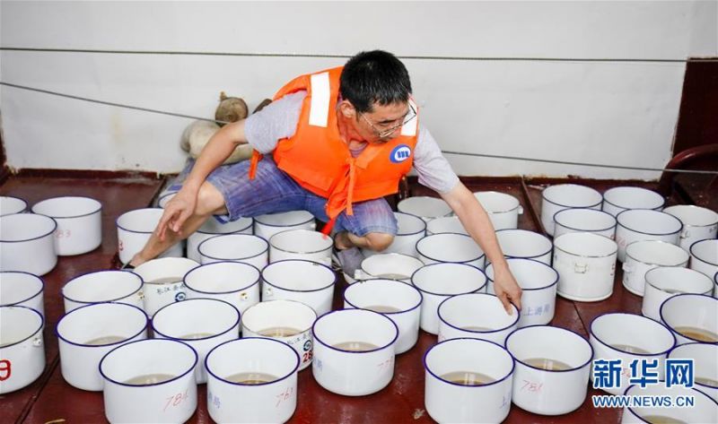 　　7月2日，长江清溪场水文站站长朱辉在水文作业船上清点长江水样。新华社记者 刘潺 摄