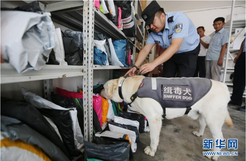 6月24日，在山东省沂南县公安局举办的“缉毒犬开放日”活动上，训导员带着缉毒犬表演查缉藏匿在包裹中的毒品。 当日，为迎接6月26日国际禁毒日，山东省临沂市沂南县公安局举办“缉毒犬开放日”活动，邀请市民近距离观看缉毒犬毒品查缉表演，了解禁毒知识。 新华社发（王彦冰 摄）