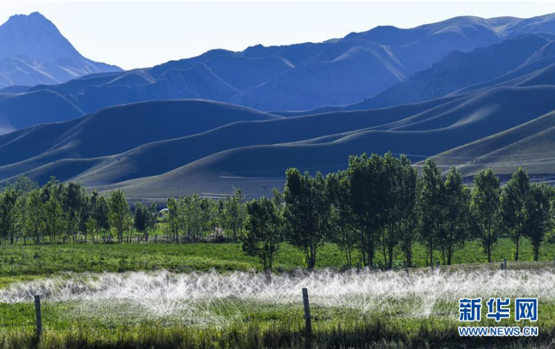 这是6月29日拍摄的位于新疆特克斯县境内的喀拉托海湖沿岸风光。 时值夏日，位于天山脚下的新疆特克斯县境内的喀拉托海湖风光宜人，景色优美。 新华社记者 王菲 摄