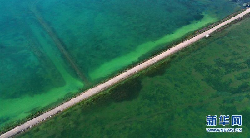 7月10日拍摄的青海湖风光（无人机照片）。 盛夏时节，被誉为“中国最美湖泊”的青海湖畔景色宜人，蓝天、白云、湖水与草原组成一幅壮美的画卷。 新华社记者 张宏祥 摄