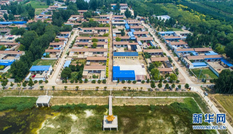 这是6月27日拍摄的河北省故城县三朗镇尹里村（无人机照片）。新华社记者 李晓果 摄