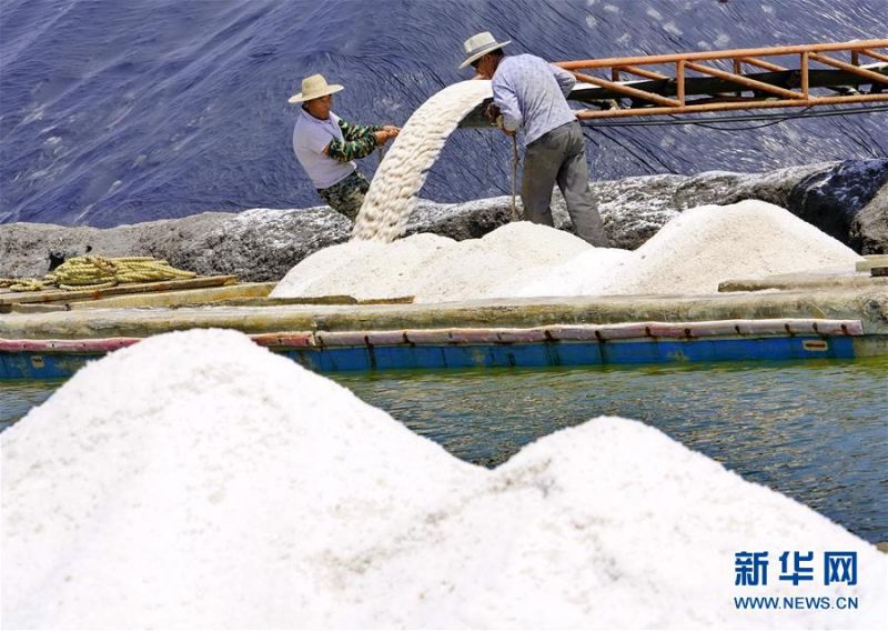 　　7月9日，唐山市曹妃甸区南堡盐场的工人将收获的春盐装船。 在我国长芦盐区海盐生产基地之一的河北省唐山市曹妃甸区南堡盐场，一年一度的春盐收获工作即将结束，今年南堡盐场的春盐产量预计可达72万吨。 新华社记者 杨世尧 摄