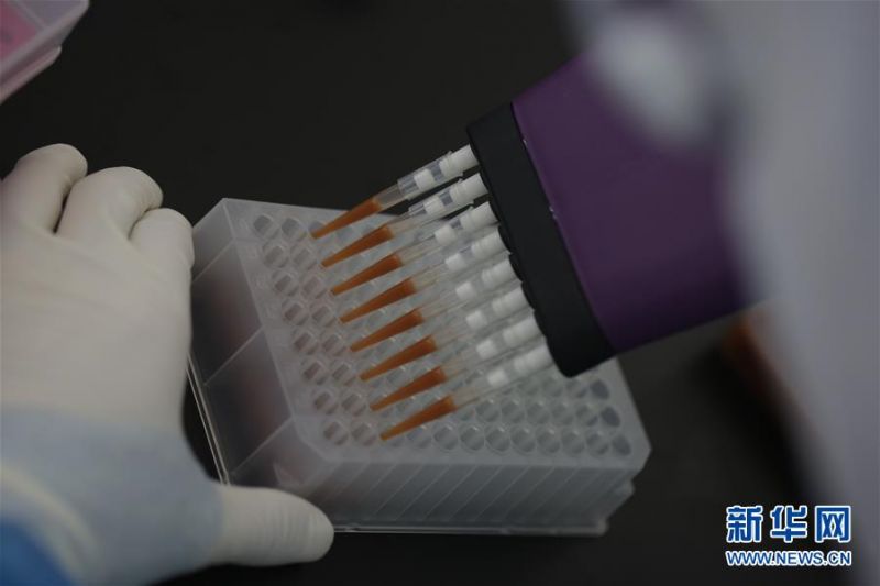 7月1日，在提取实验室内，实验人员制备提取试剂。 新华社记者 彭子洋 摄