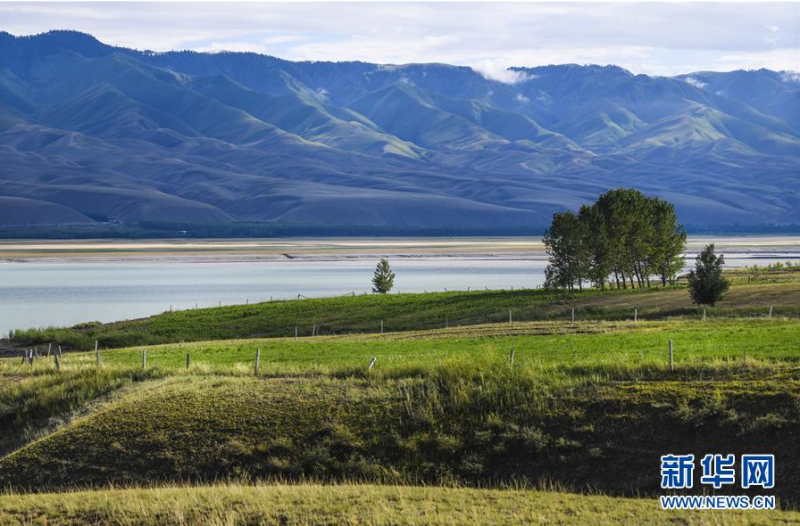 这是6月29日拍摄的位于新疆特克斯县境内的喀拉托海湖沿岸风光。 时值夏日，位于天山脚下的新疆特克斯县境内的喀拉托海湖风光宜人，景色优美。 新华社记者 王菲 摄