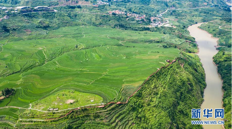 贵州省盘州市新民镇的梯田风光（6月29日摄，无人机照片）。 夏日时节，贵州省盘州市新民镇的梯田风景如画。 新华社记者 陶亮 摄