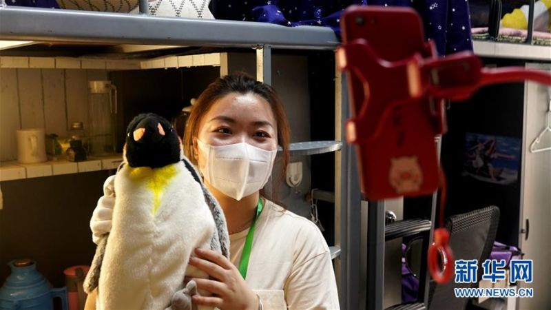 7月1日，在北理工学生宿舍，一名辅导员与毕业生通过视频方式，核对她留在宿舍的毛绒玩具，再放入行李箱中。 6月29日起，北京理工大学教职员工开始为2020届6000多名需要打包的毕业生集中进行行李打包、邮寄和留置物品存放工作。经过提前与毕业生“一对一”沟通，老师们耐心细致地通过手机“直播”打包行李的全过程，与每一个同学认真核对其个人物品，细心收纳摆放、整理密封、搬运寄送，让不能返校的毕业生们安心、放心。 新华社记者 马晓冬 摄