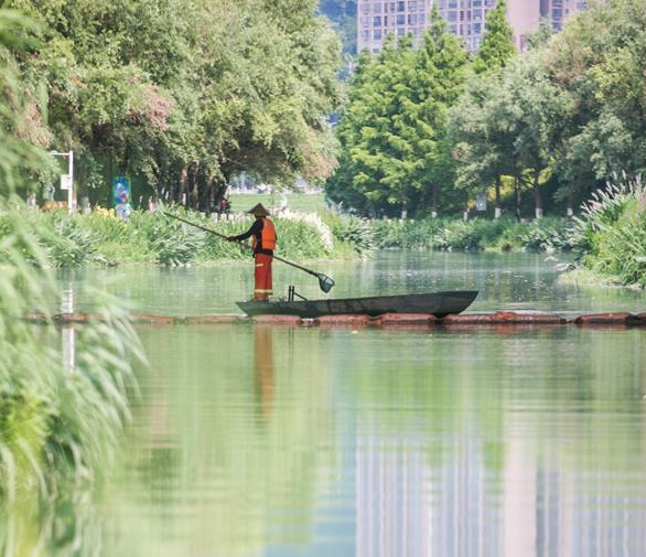 6月26日，河道工人在贵州省毕节市七星关区倒天河上清理漂浮物。 端午小长假期间，各行各业依然有很多人在工作岗位上坚守。 新华社发（罗大富 摄）