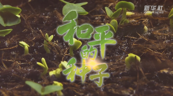 微信截图_20200901184959