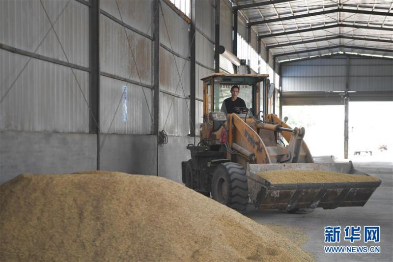 1126253353_15949979034911n