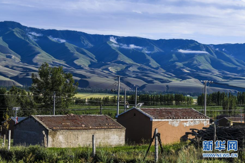 这是6月29日拍摄的位于新疆特克斯县境内的喀拉托海湖沿岸风光。 时值夏日，位于天山脚下的新疆特克斯县境内的喀拉托海湖风光宜人，景色优美。 新华社记者 王菲 摄