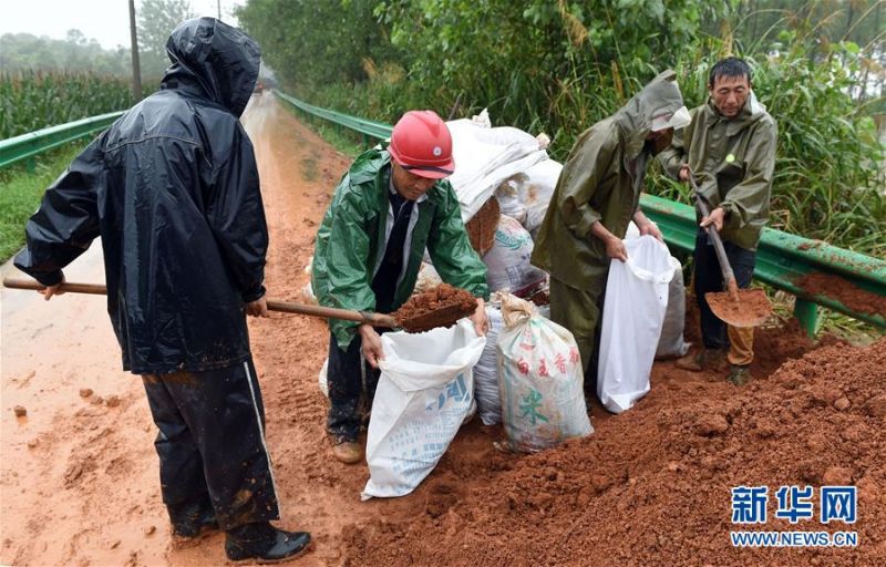 7月10日，在东至县香隅镇丰收圩段，施工人员在抢筑子埂。 安徽省东至县位于长江岸边，拥有85公里长江岸线。近日，长江水位持续上涨，东至县香隅镇丰收圩段出现江水漫溢。为保障群众安全和防汛抢险道路畅通，香隅镇组织对丰收圩段抢筑子埂150米，并安排工作人员开展检查巡护，时刻监测水情。 新华社记者 周牧 摄