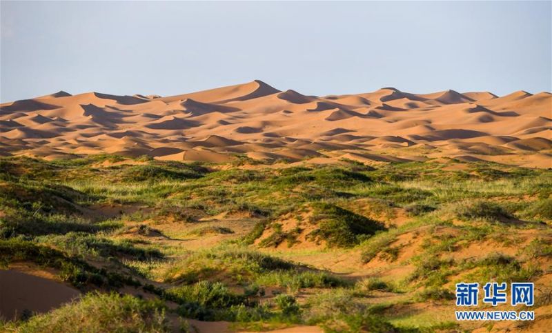 　　这是7月8日拍摄的腾格里沙漠风光。 位于内蒙古自治区阿拉善左旗西南部和甘肃省中部边境的腾格里沙漠是我国第四大沙漠，总面积约为4.3万平方公里。夏日傍晚，腾格里沙漠连绵的沙丘被日光勾勒出美丽的线条，美不胜收。 新华社记者 连振 摄
