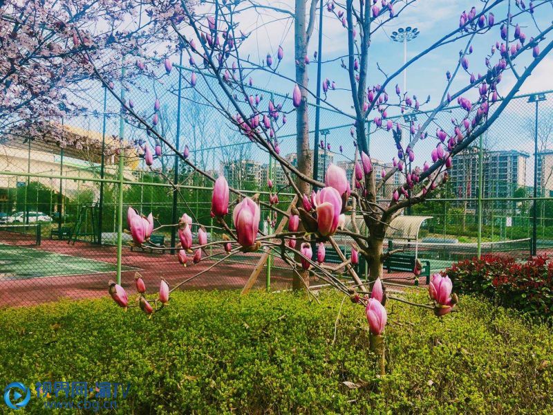 微信图片_202003091614381