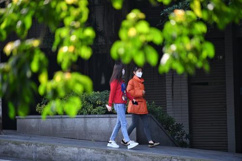 市民在嫩绿的树叶映衬下感受春天的气息