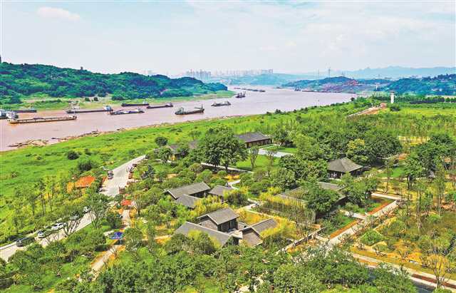    已经竣工的重庆广阳岛抗战遗址，多彩植物与人文景观和谐交融。