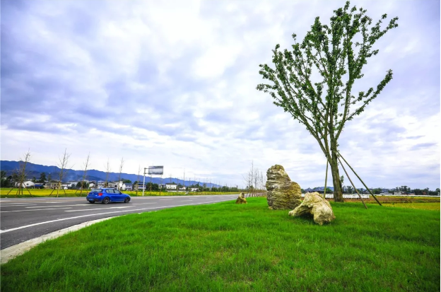 一环路北段道路旁的绿地草坪。一年好景，此时最盛，不去一次岂不是太可惜？寻一个好天气，一起去看橙黄橘绿，赏日暮红霞！