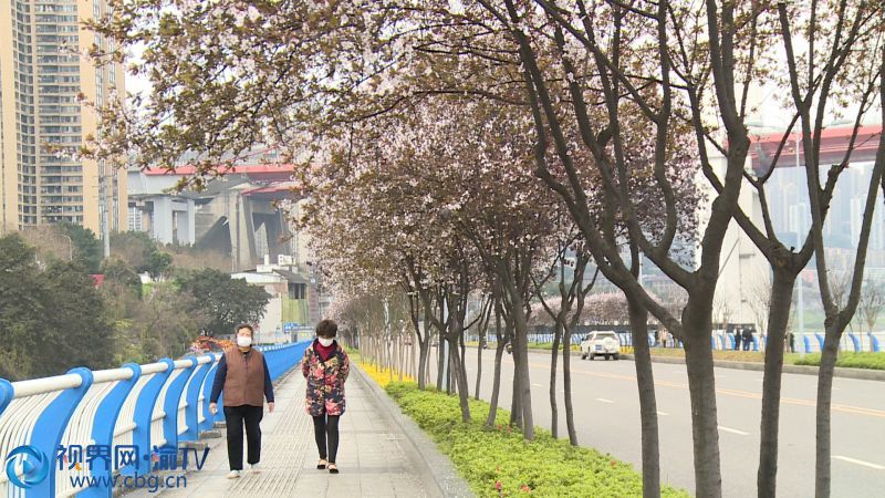微信图片_202003091511433