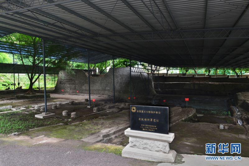 1126461005_1599444613492