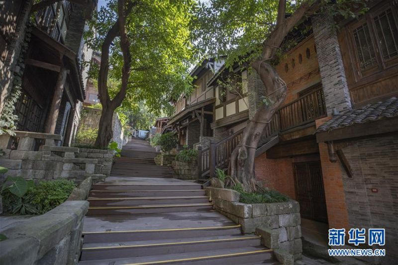 1126461005_1599444613507