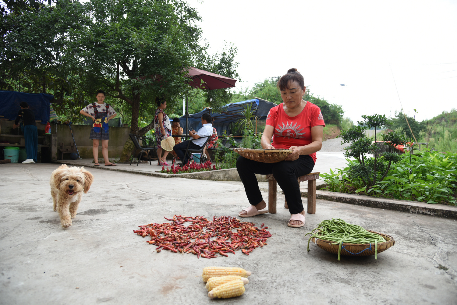 村民在院坝里忙活 (摄影:胡肖艺)