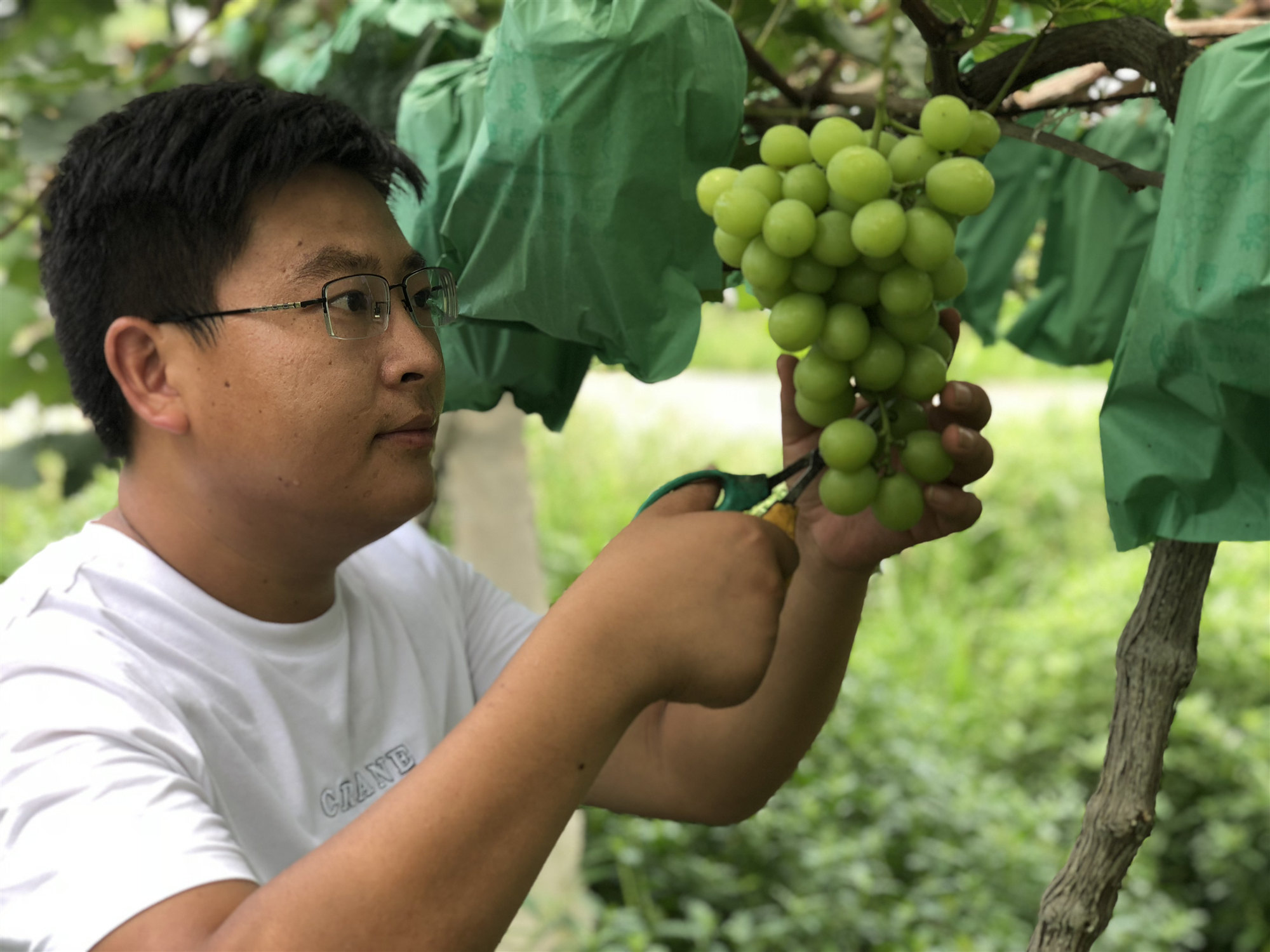 1601258406140091466.jpg 图片2.jpg