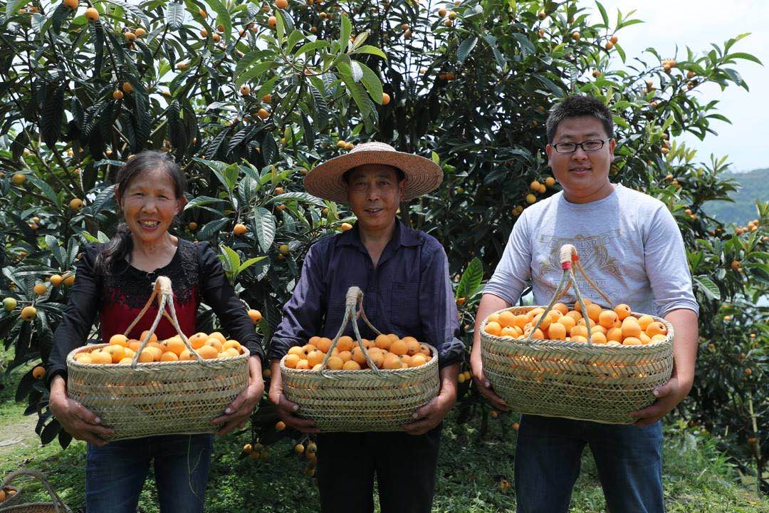 1601258424749093498.png 图片4.png