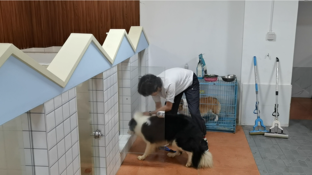 图片 2.png