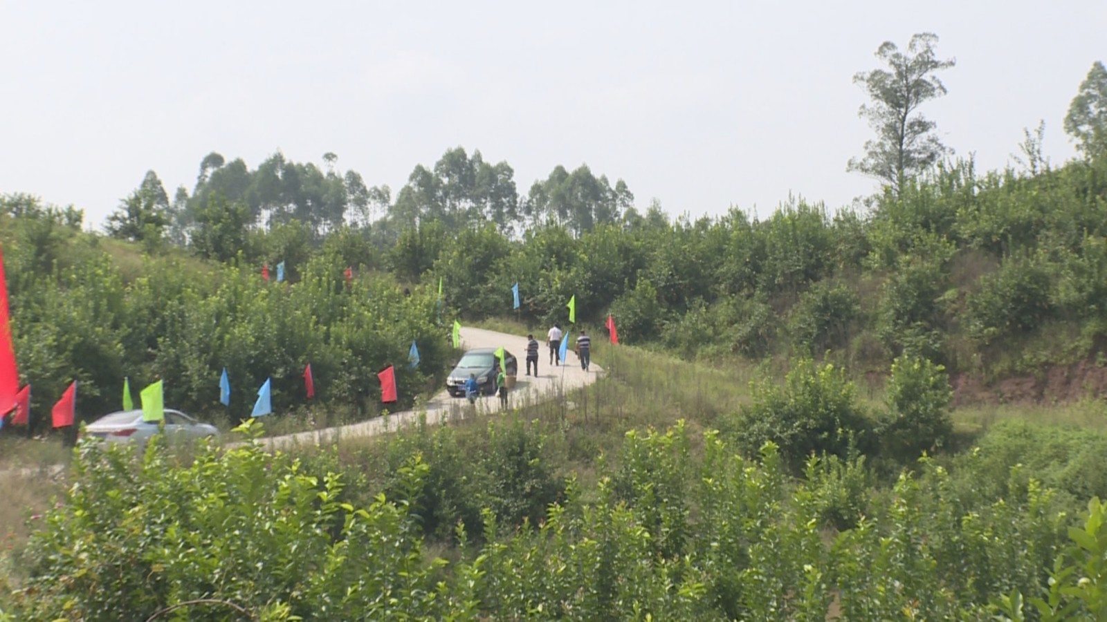 永川来苏有多少人口_永川来苏镇(2)