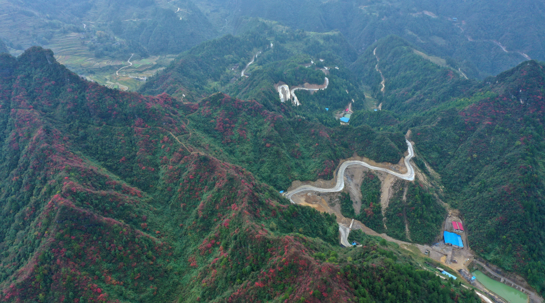 微信截图_20201019093319.png
