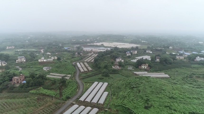 渠首工程,提升泵站,高位水池,輸水乾渠等設施組成,流經大足,榮昌兩地