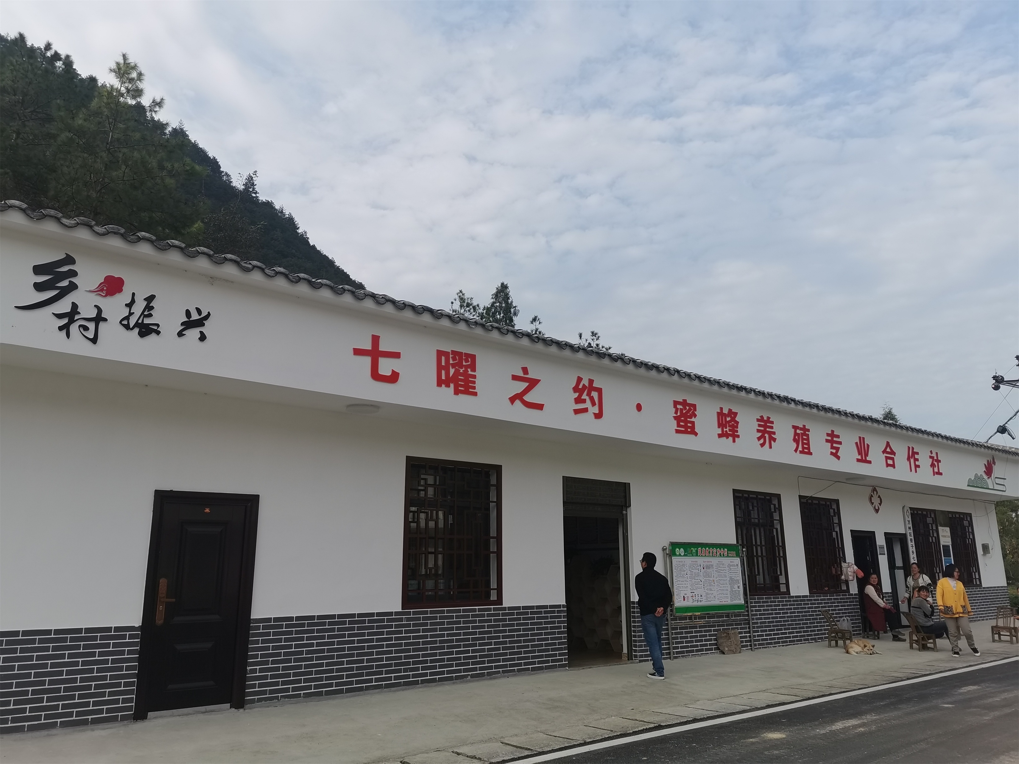 (摄影:谭林丽 张建全)俯瞰重庆市万州区普子乡七曜村,一条条大道翻山