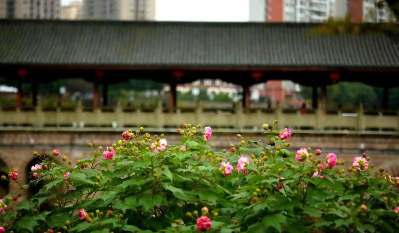 微信图片_202011061413112.jpg