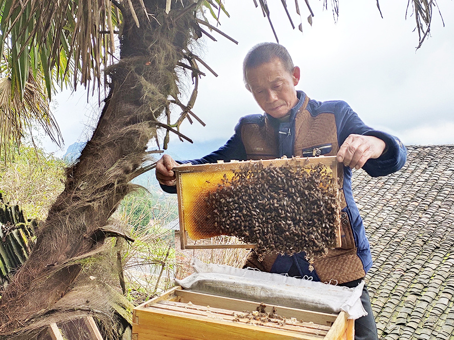 "哪怕苦一点,也不等靠要"——万盛经开区石林镇茶园村村民王正发脱贫