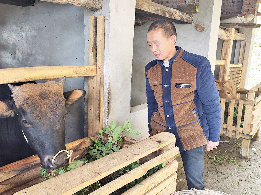 "哪怕苦一点,也不等靠要"——万盛经开区石林镇茶园村村民王正发脱贫