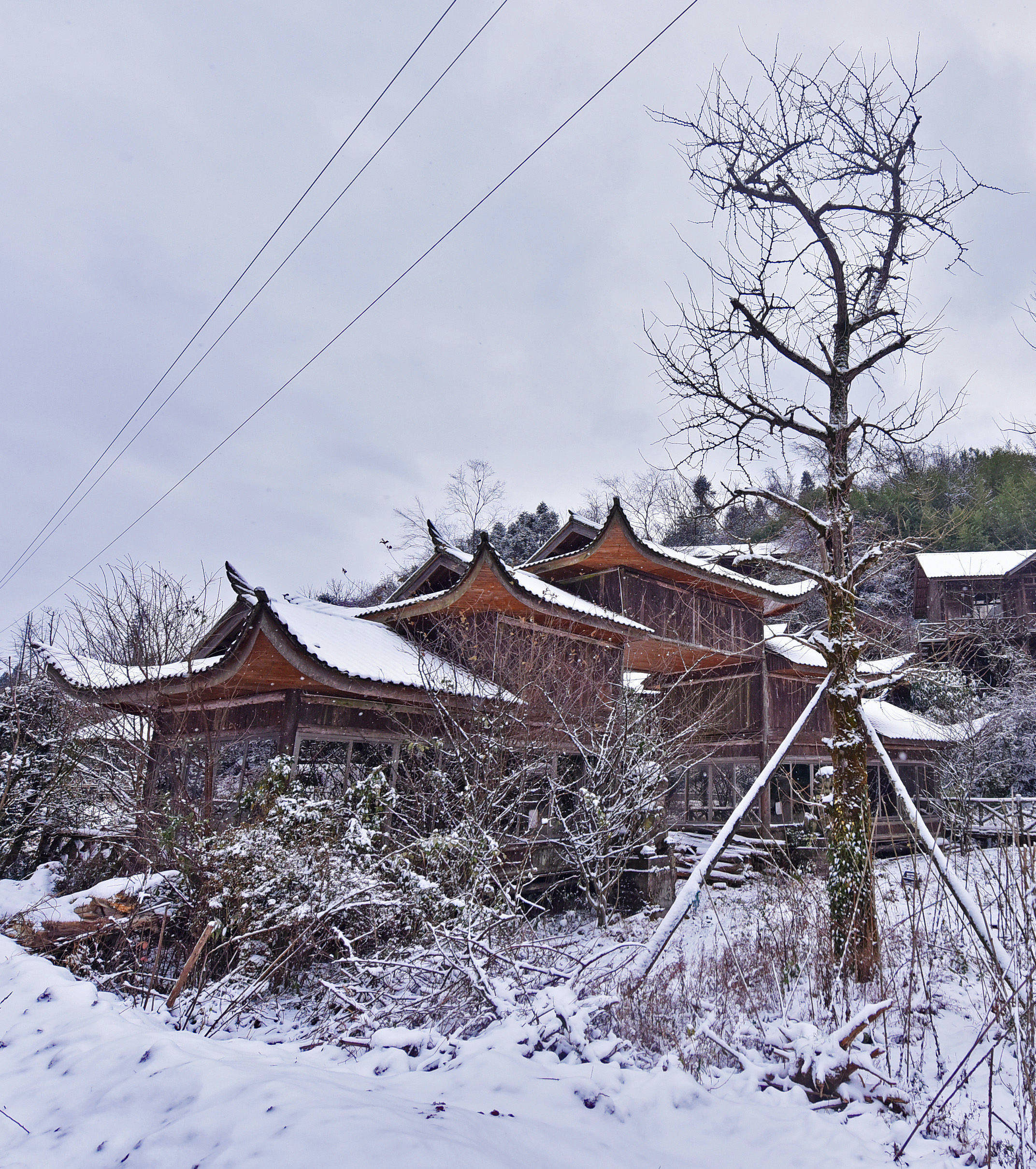 重庆涪陵今冬首场大雪高清美图超过瘾
