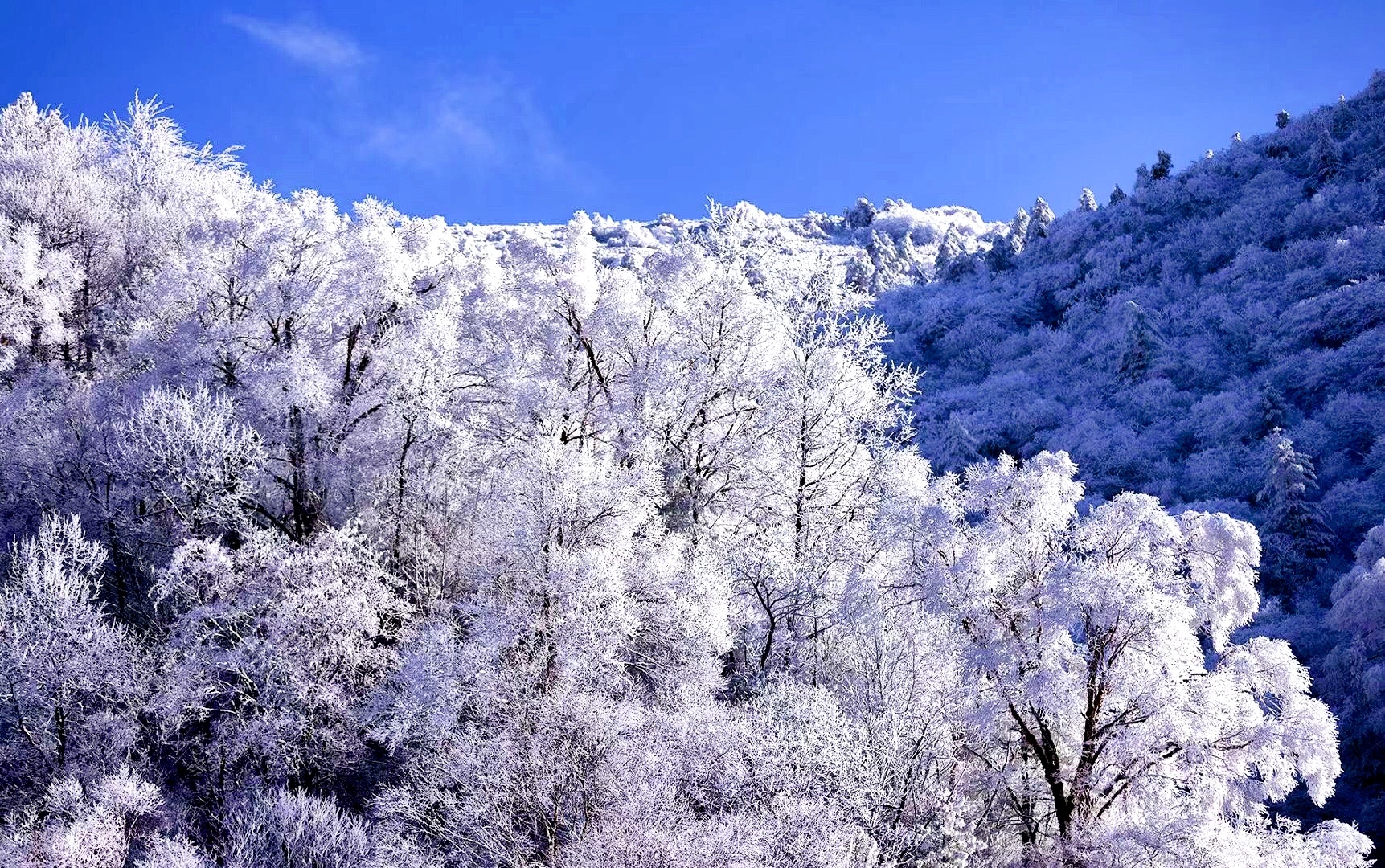 首页 2020重庆相册 美景 正文