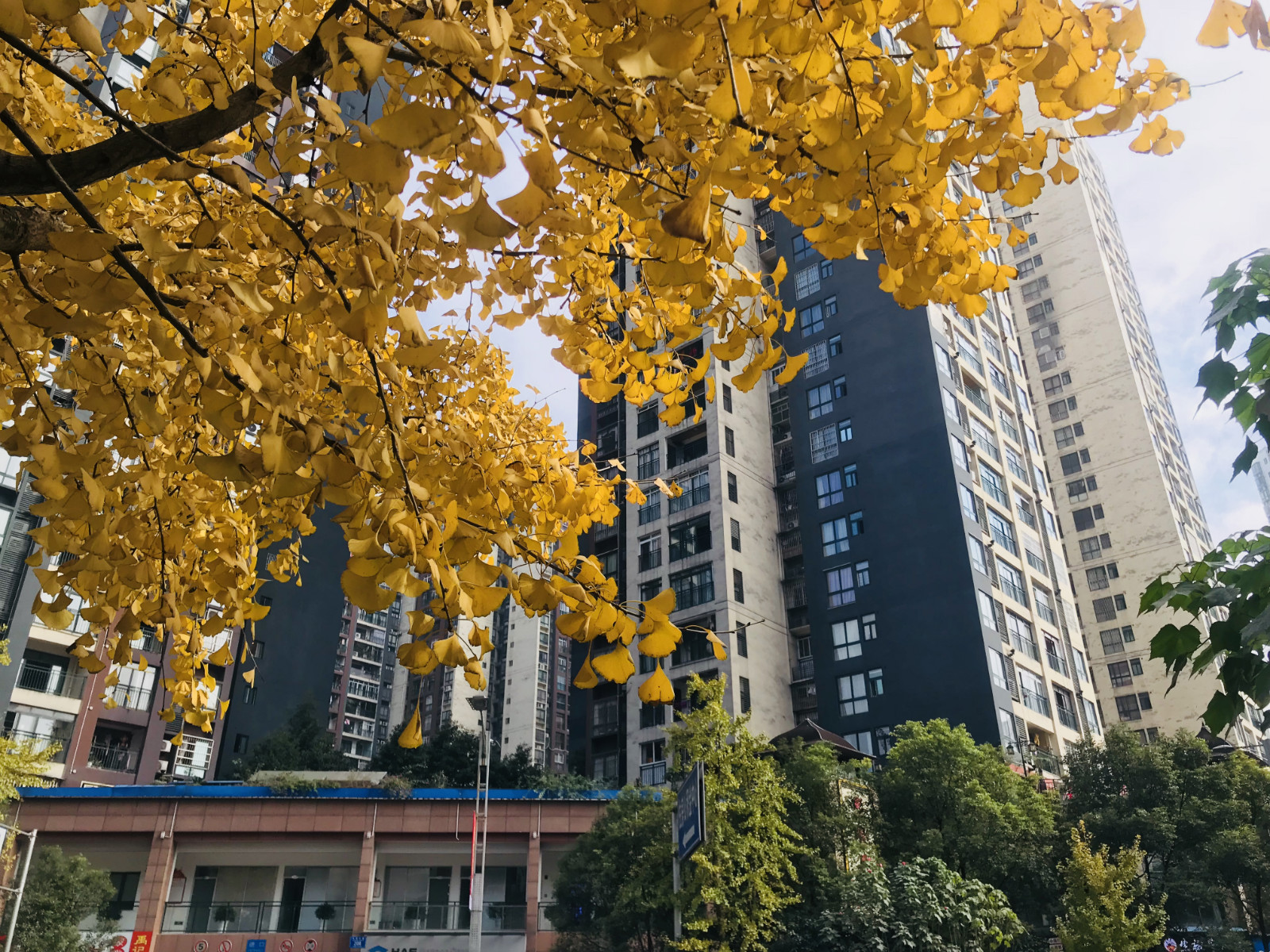 图片1_meitu_1.jpg