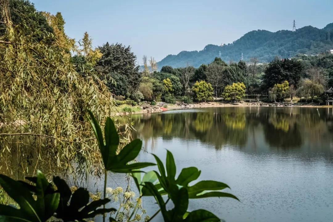 重庆南岸区涂山公园图片