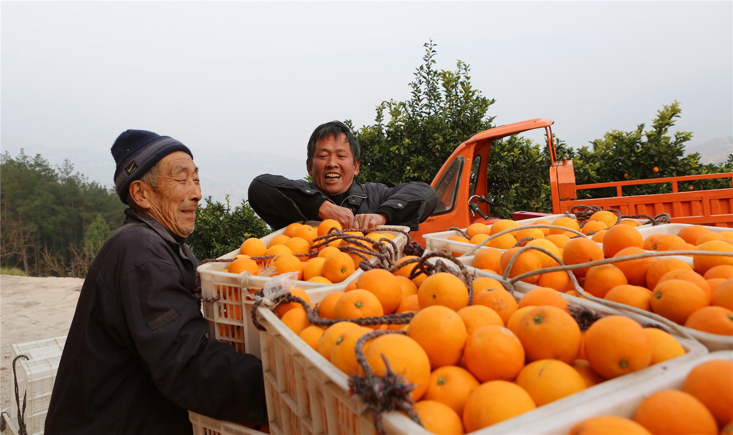 县深入贯彻生态优先,绿色发展理念,围绕柑橘产业,聚焦产业精准扶贫