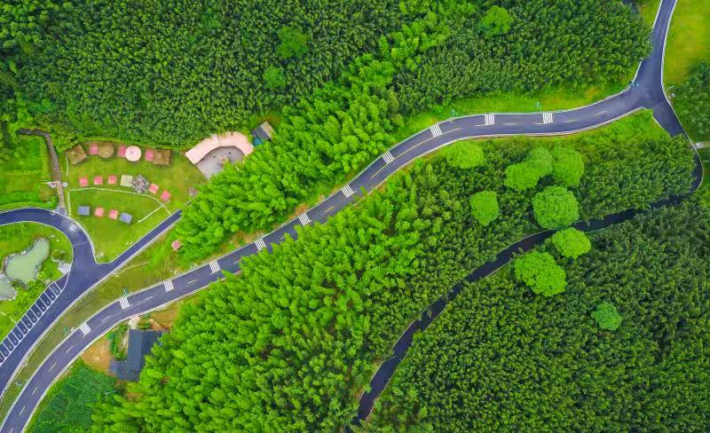 梁平:工业总产值已达近500亿元 积极推动明月山绿色发展