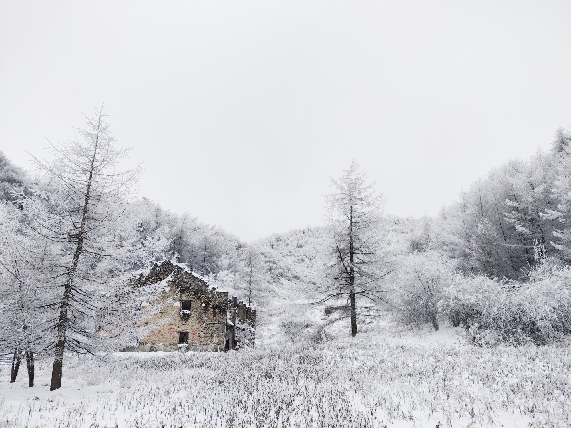 重庆奉节下雪图片