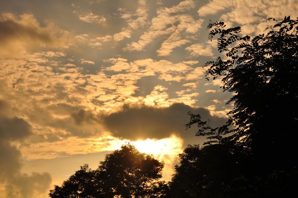 2014年6月21日,這張照片拍攝的是夕陽下山後,天空中金黃的雲彩和藍天